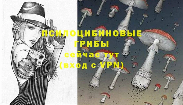 таблы Алексин